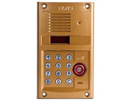 DP300-TD22 (1036) Блок вызова домофона