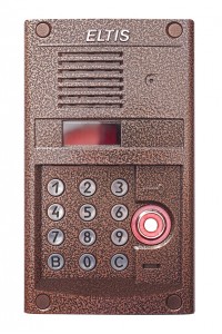 DP300-TD22 (медь) Блок вызова домофона