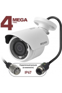 BD4630RC (16 мм) IP-камера корпусная уличная